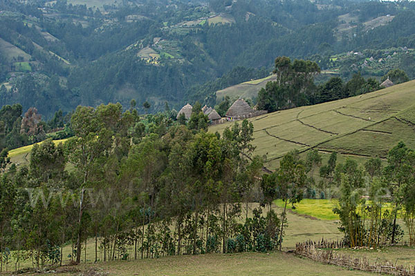 Aethiopien (Ethiopia)