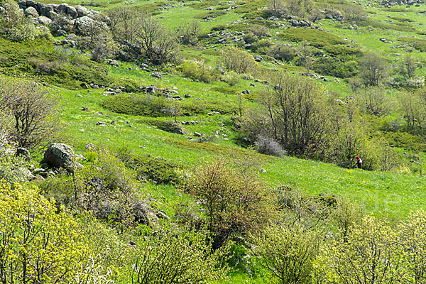 Armenien ()