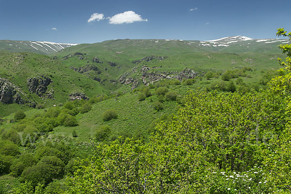 Armenien ()
