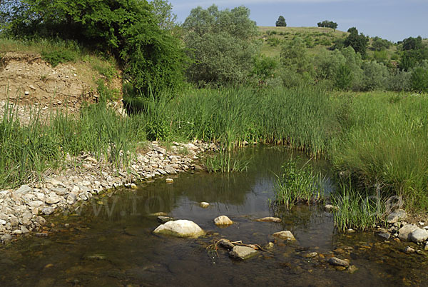 Bulgarien (Bulgaria)