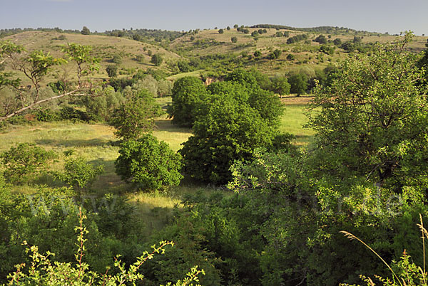 Bulgarien (Bulgaria)