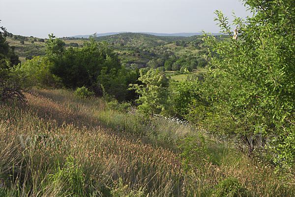 Bulgarien (Bulgaria)