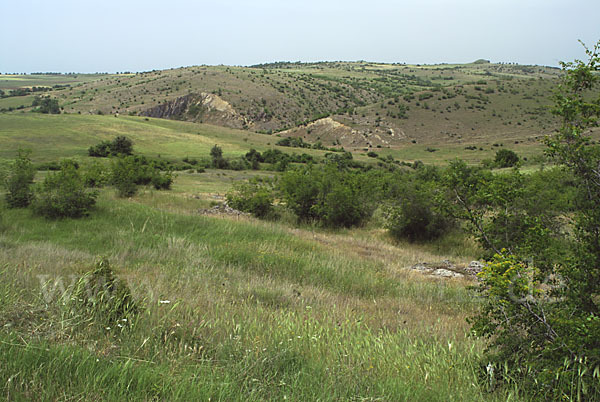 Bulgarien (Bulgaria)