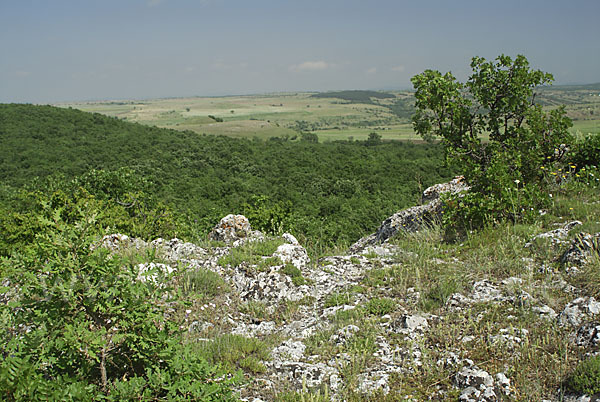 Bulgarien (Bulgaria)