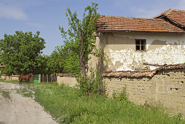 Bulgarien (Bulgaria)