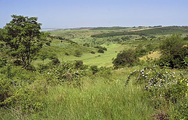 Bulgarien (Bulgaria)