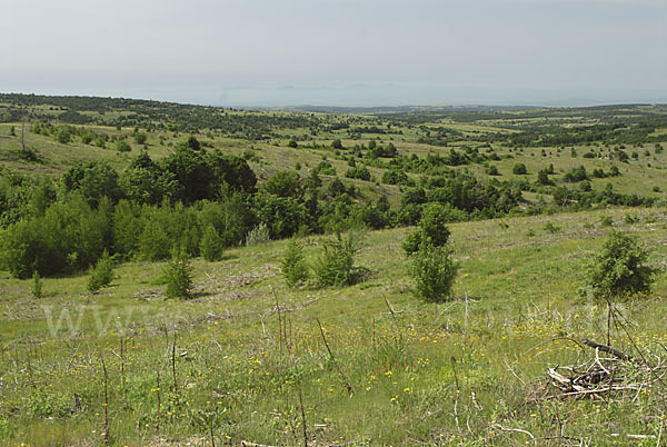 Bulgarien (Bulgaria)