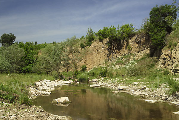 Bulgarien (Bulgaria)