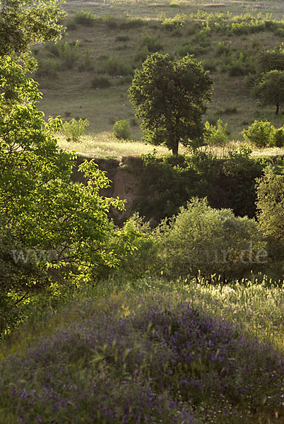 Bulgarien (Bulgaria)