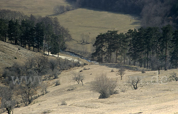 Bulgarien (Bulgaria)