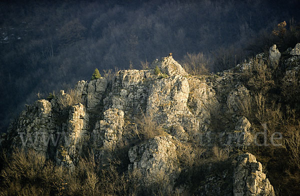 Bulgarien (Bulgaria)