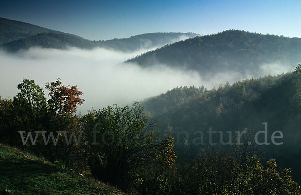 Bulgarien (Bulgaria)