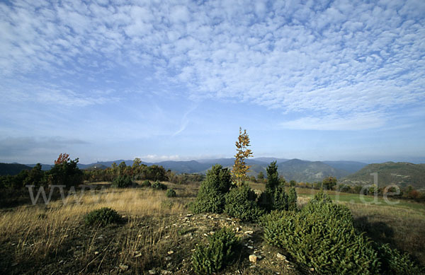 Bulgarien (Bulgaria)