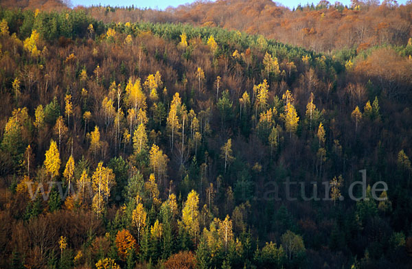 Bulgarien (Bulgaria)