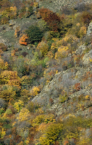 Bulgarien (Bulgaria)