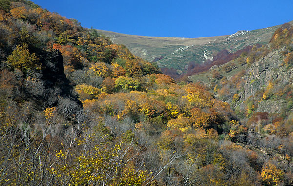 Bulgarien (Bulgaria)