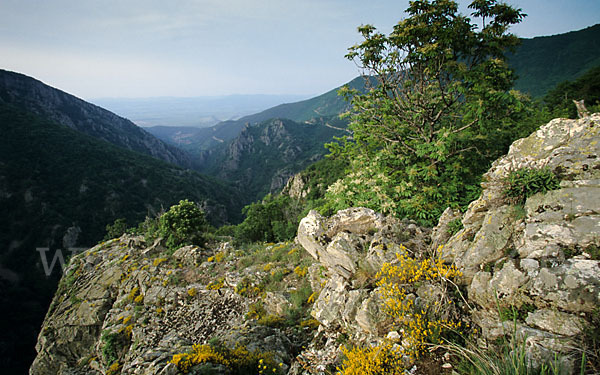 Bulgarien (Bulgaria)