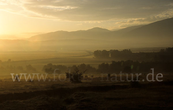 Bulgarien (Bulgaria)