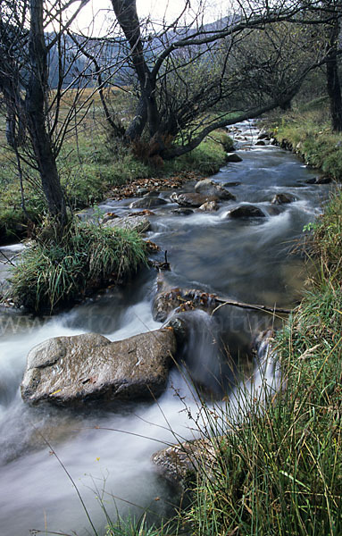 Bulgarien (Bulgaria)