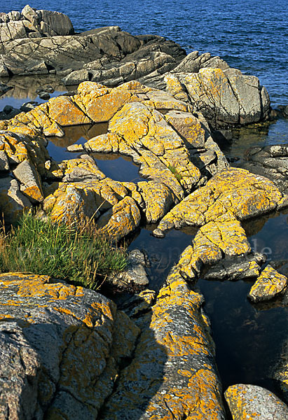 Dänemark (Denmark)