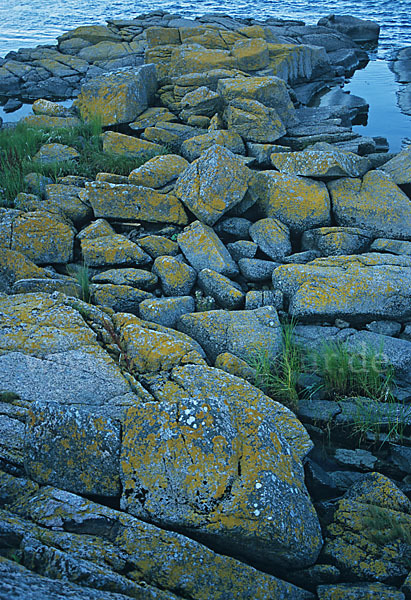 Dänemark (Denmark)