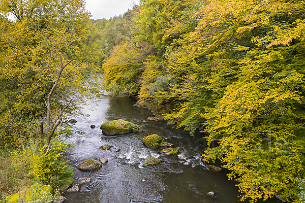 Deutschland (Germany)