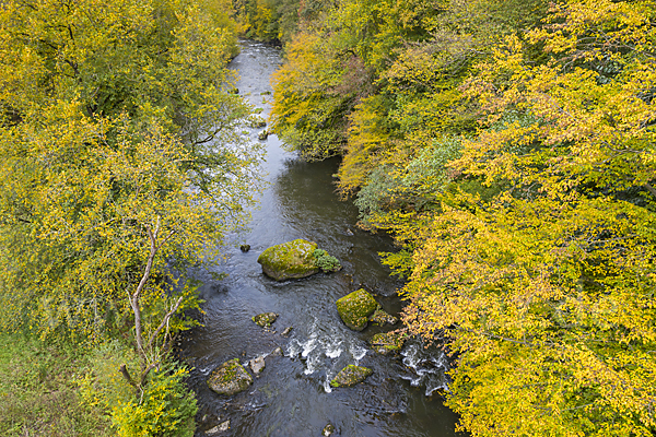 Deutschland (Germany)