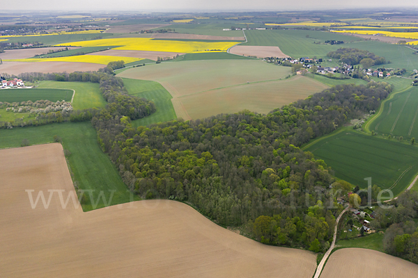 Deutschland (Germany)