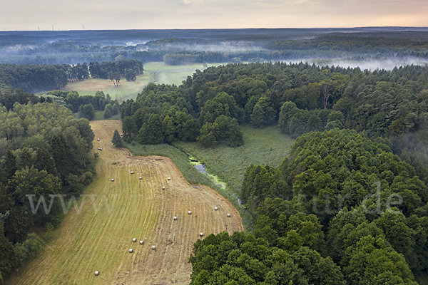 Deutschland (Germany)