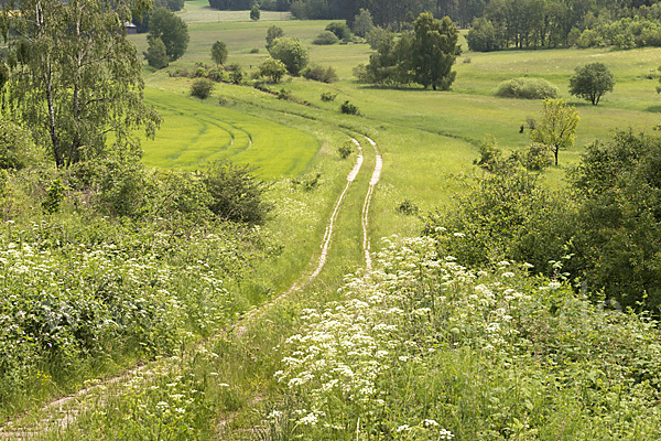 Deutschland (Germany)