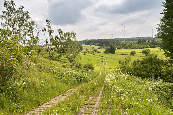 Deutschland (Germany)