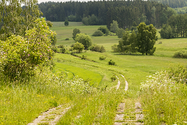 Deutschland (Germany)