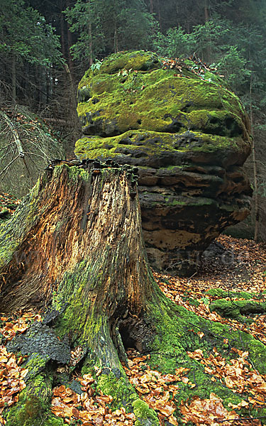 Deutschland (Germany)