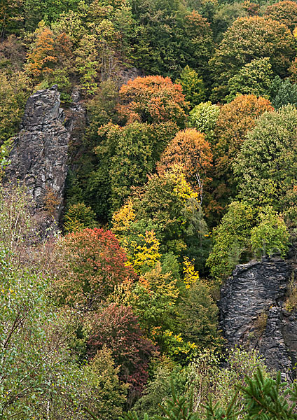 Deutschland (Germany)