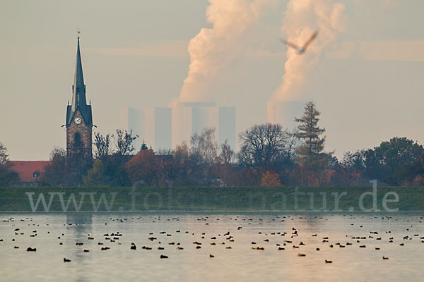 Deutschland (Germany)