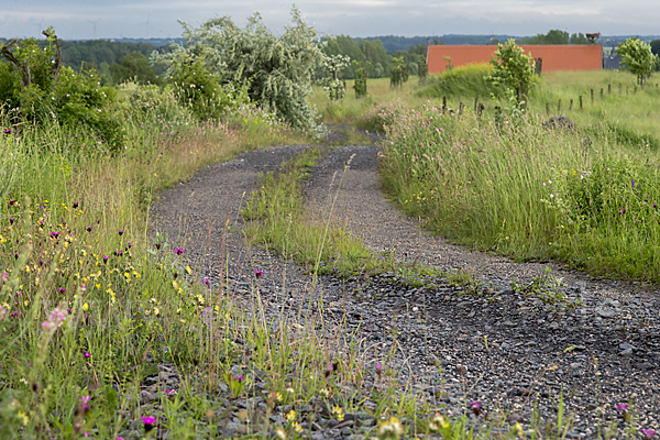 Feldweg (path)