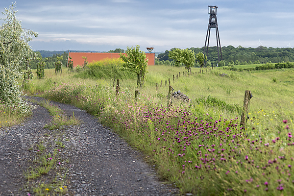 Feldweg (path)