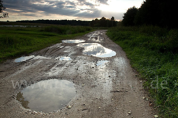 Feldweg (path)