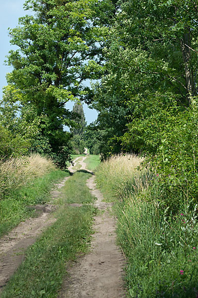 Feldweg (path)