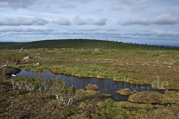 Finnland (Finland)