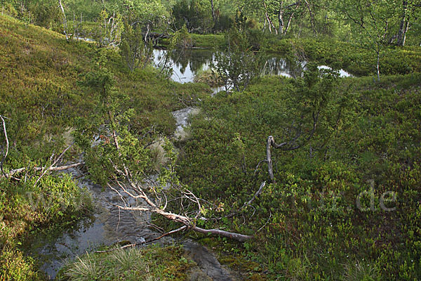 Finnland (Finland)