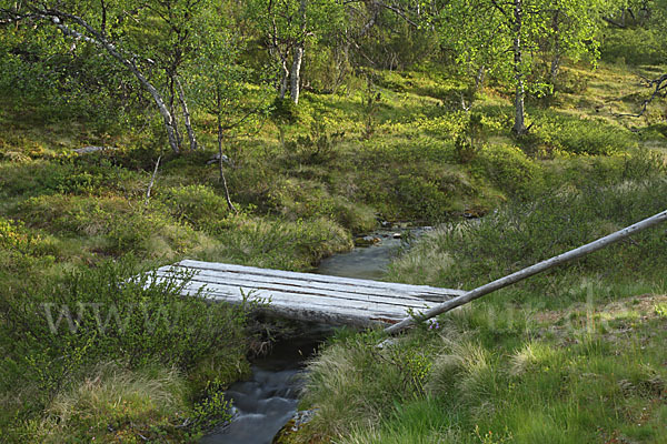 Finnland (Finland)