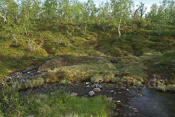 Finnland (Finland)