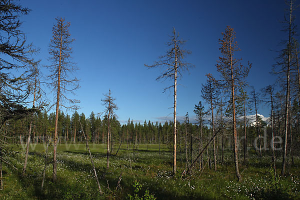 Finnland (Finland)