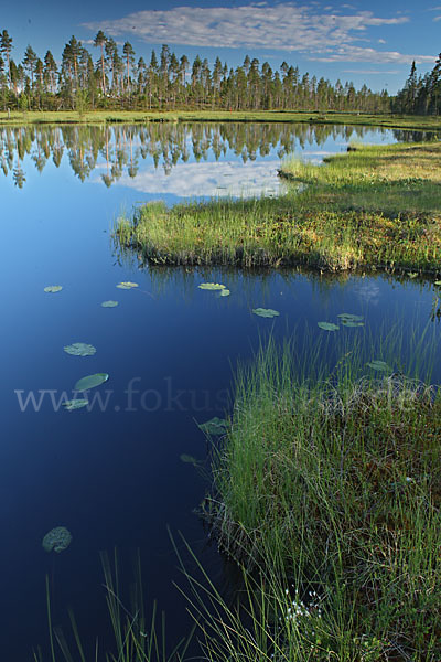 Finnland (Finland)