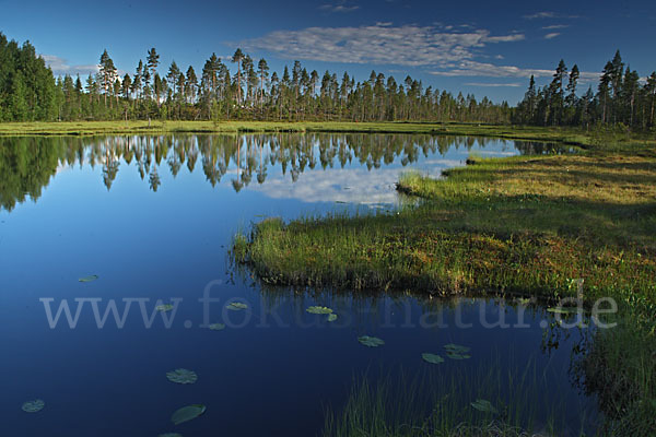 Finnland (Finland)