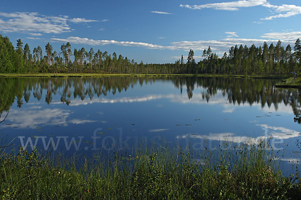 Finnland (Finland)