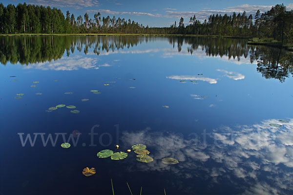 Finnland (Finland)