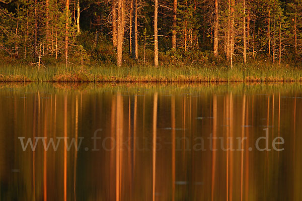 Finnland (Finland)