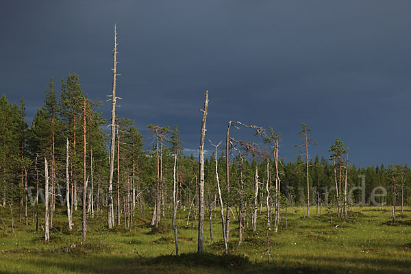 Finnland (Finland)
